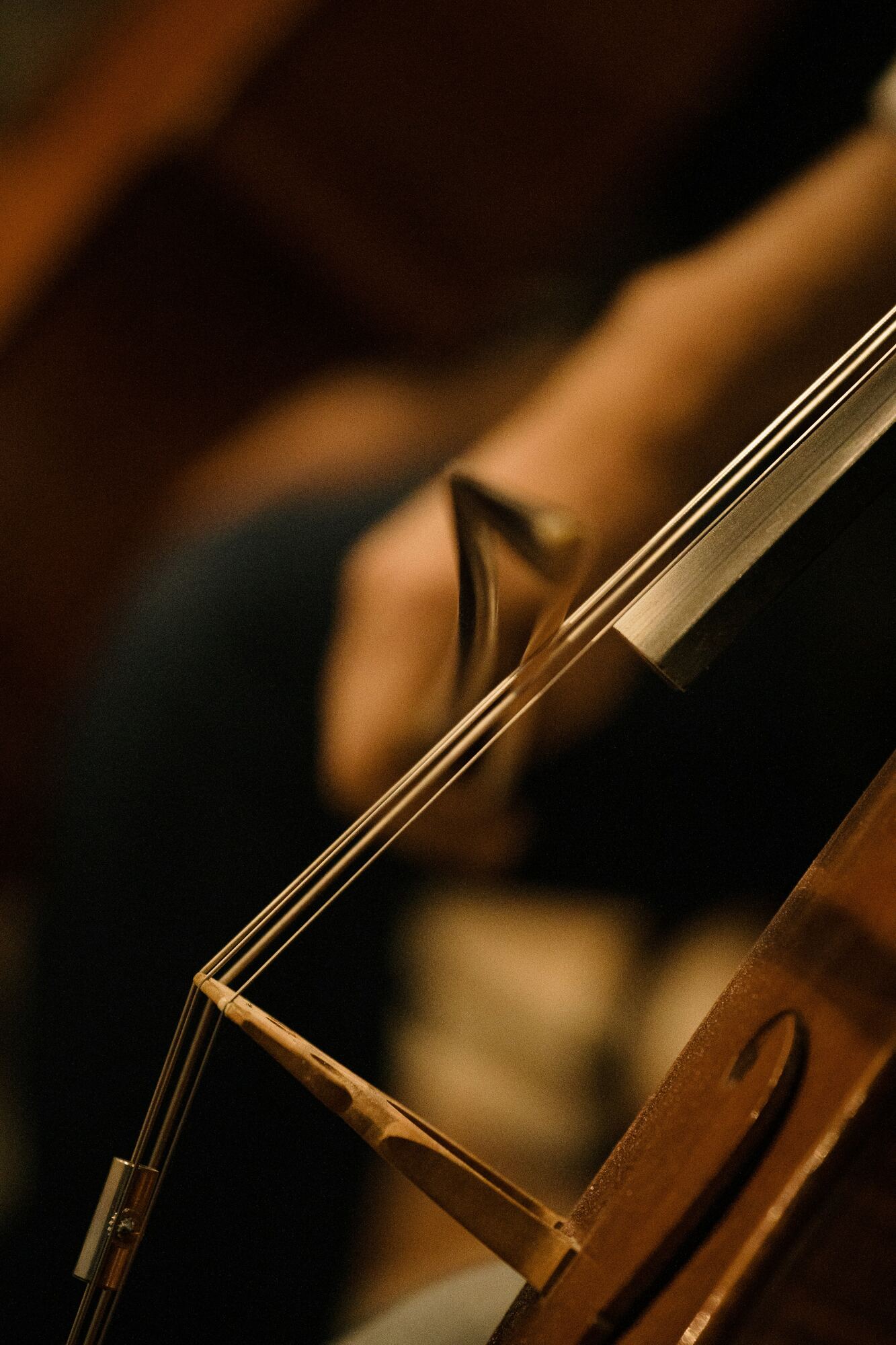 Violin
