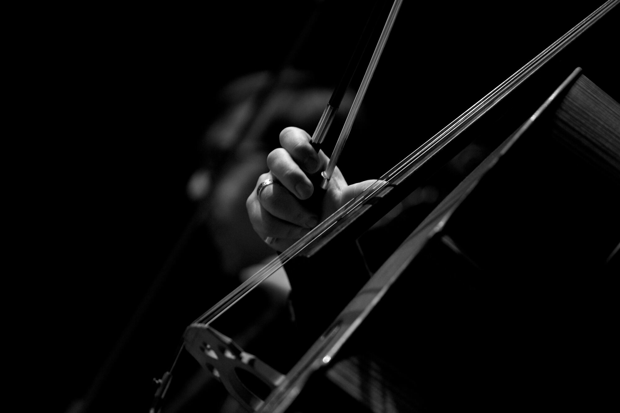 Musician